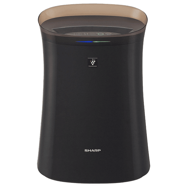 Hepa filter on sale portable sharp
